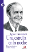 Una estrella en la noche